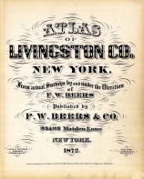 Livingston County 1872 
